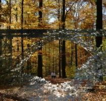 K002_waehrend_klein-300x200-1