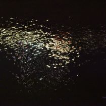 02_Glatzer_Reflexionen_klein