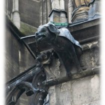 Dachspeier Hund