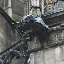 (30) Kölner Dom bei Hundewetter  (Dachspeier)