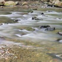 (28) Die Düssel im Neandertal, Langzeitbelichtung5