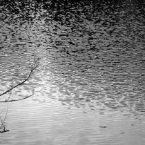 kleine Wellen auf dem Stausee. Das Bild IST schwarzweiß.