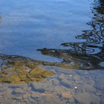 Wupperwasser 60x40cm, Foto: Elke Glatzer