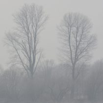 K022_Di_Glatzer_Elk3-485_ende