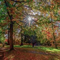 Park der Benediktiner-Abtei Trier, Foto: Inge Duhr