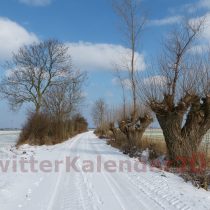 Winter auf Fehmarn, Foto: Marie-José Larsen