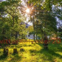 Mai-Kalenderbild: Blick in den Klostergarten von St. Mathias, Trier