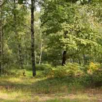 April: 005_Glatzer_Elke_2017-08-25_3101-30Pr
