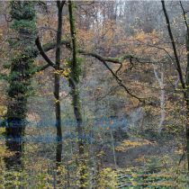 November: 012_Glatzer_Elke_2021_11_01_8218-30Pr