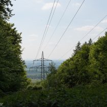 Glatzer_Elke_2024_05_10_1709