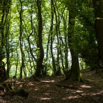 Glatzer_Elke_2024_05_10_1717