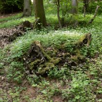 Glatzer_Elke_2024_05_10_1718