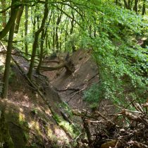 Glatzer_Elke_2024_05_10_1721-2