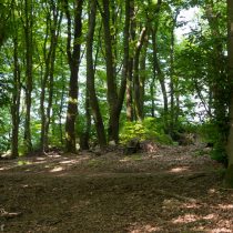 Glatzer_Elke_2024_05_10_1722