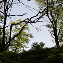 Glatzer_Elke_2024_05_10_1723