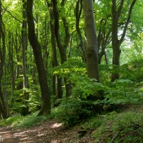 Glatzer_Elke_2024_05_10_1726
