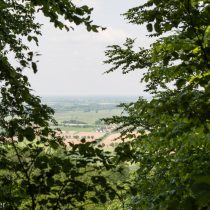 Glatzer_Elke_2024_05_10_1730
