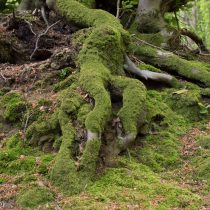 Glatzer_Elke_2024_05_10_1731