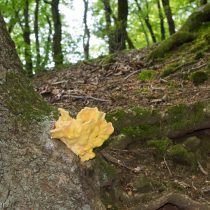Glatzer_Elke_2024_05_10_1733