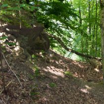 Glatzer_Elke_2024_05_10_1740-2