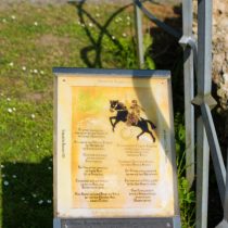 Glatzer_Elke_2024_05_10_1781