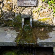 Glatzer_Elke_2024_05_10_1786
