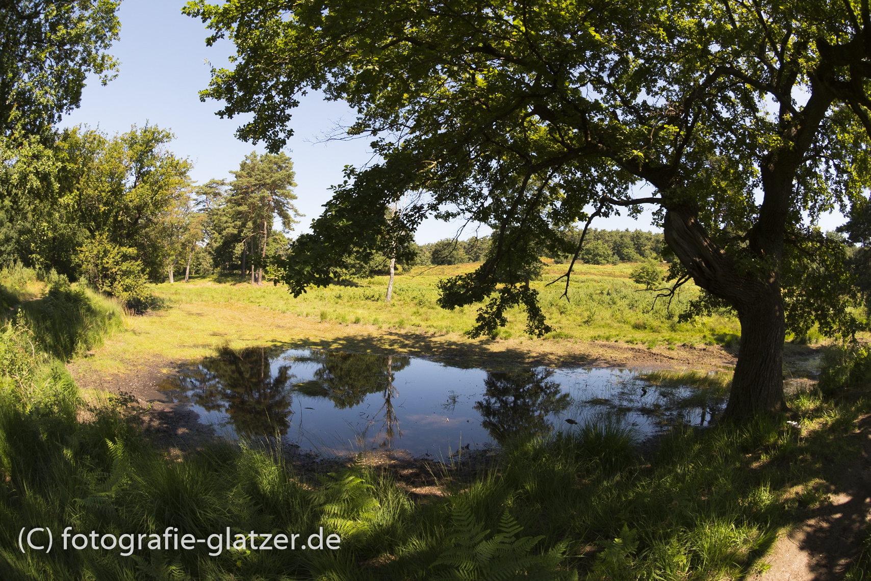 Fotoexkursionen Köln Bonn Eifel Fotografie Elke Glatzer