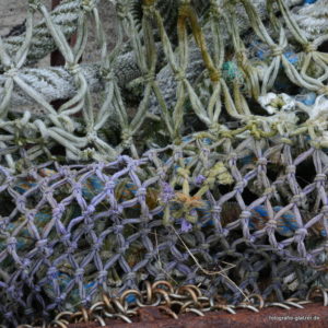 Fischernetze an der Nordsee, Foto: Elke Glatzer