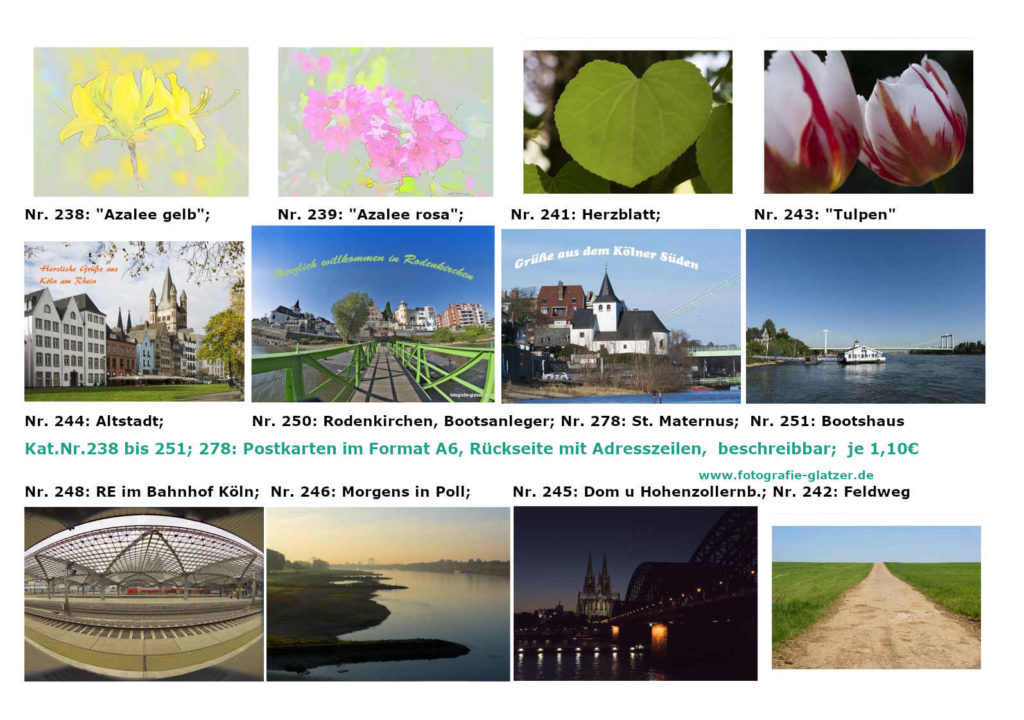 Postkarten mit Köln-Motiven und Pflanzen-Motiven; 