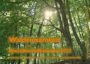 Titelblatt Kalemder 2023 mit dichtem grünen Wald, durch den die Sonne scheint