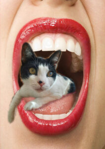 Eine Katze im offenen Mund
