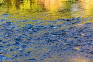 Wasserwellen mit blauen und gelben Reflexionen