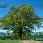 Titelbild des Kalenders 2026