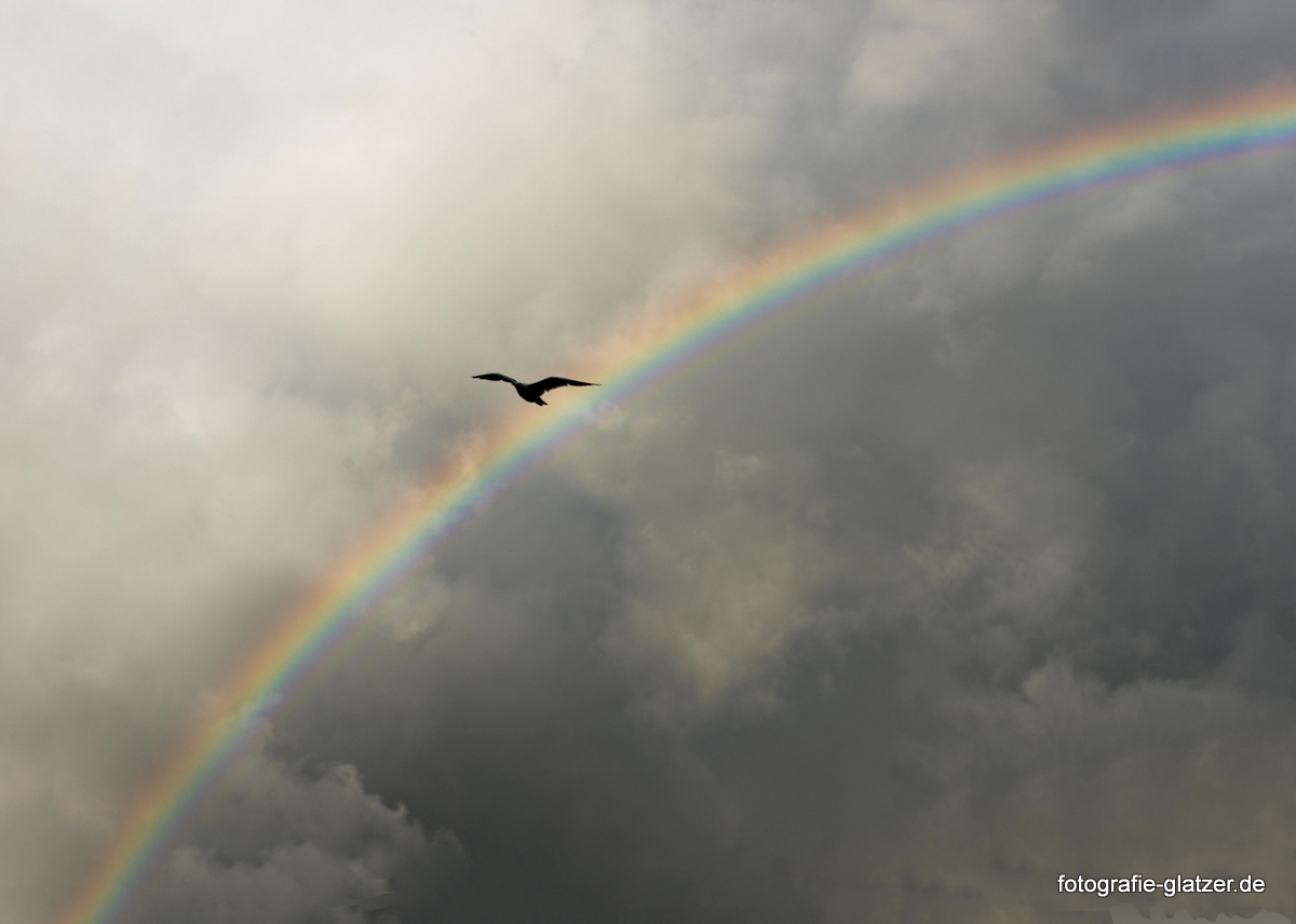 Wolkenhimmel mit Regenbogen und Möwe, Sylt 2016